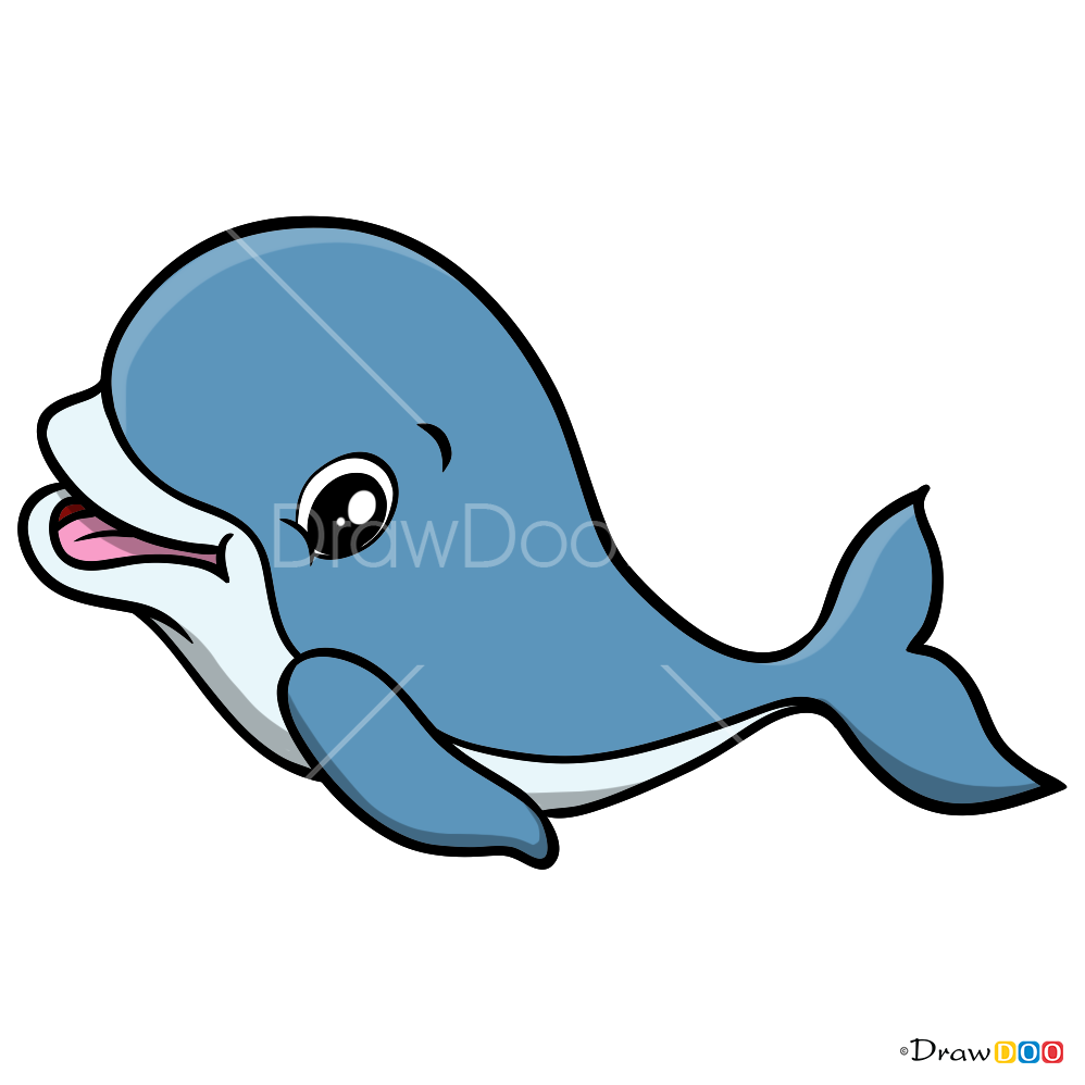 How to Draw Baby Dolphin, Baby Animals